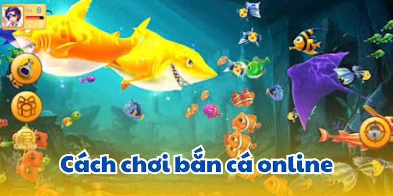 Cách chơi bắn cá online