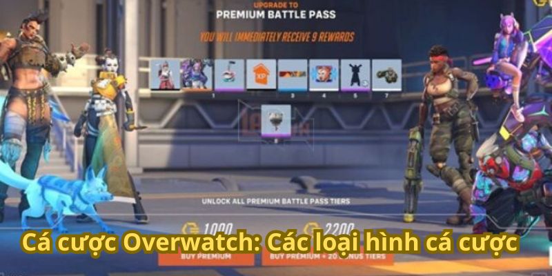 Cá cược Overwatch: Các loại hình cá cược