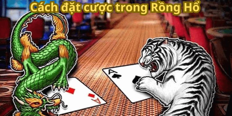 Cách đặt cược trong Rồng Hổ